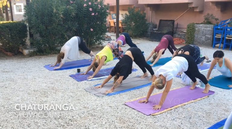 Mount Yonah Gym Downdog for strength and mobility